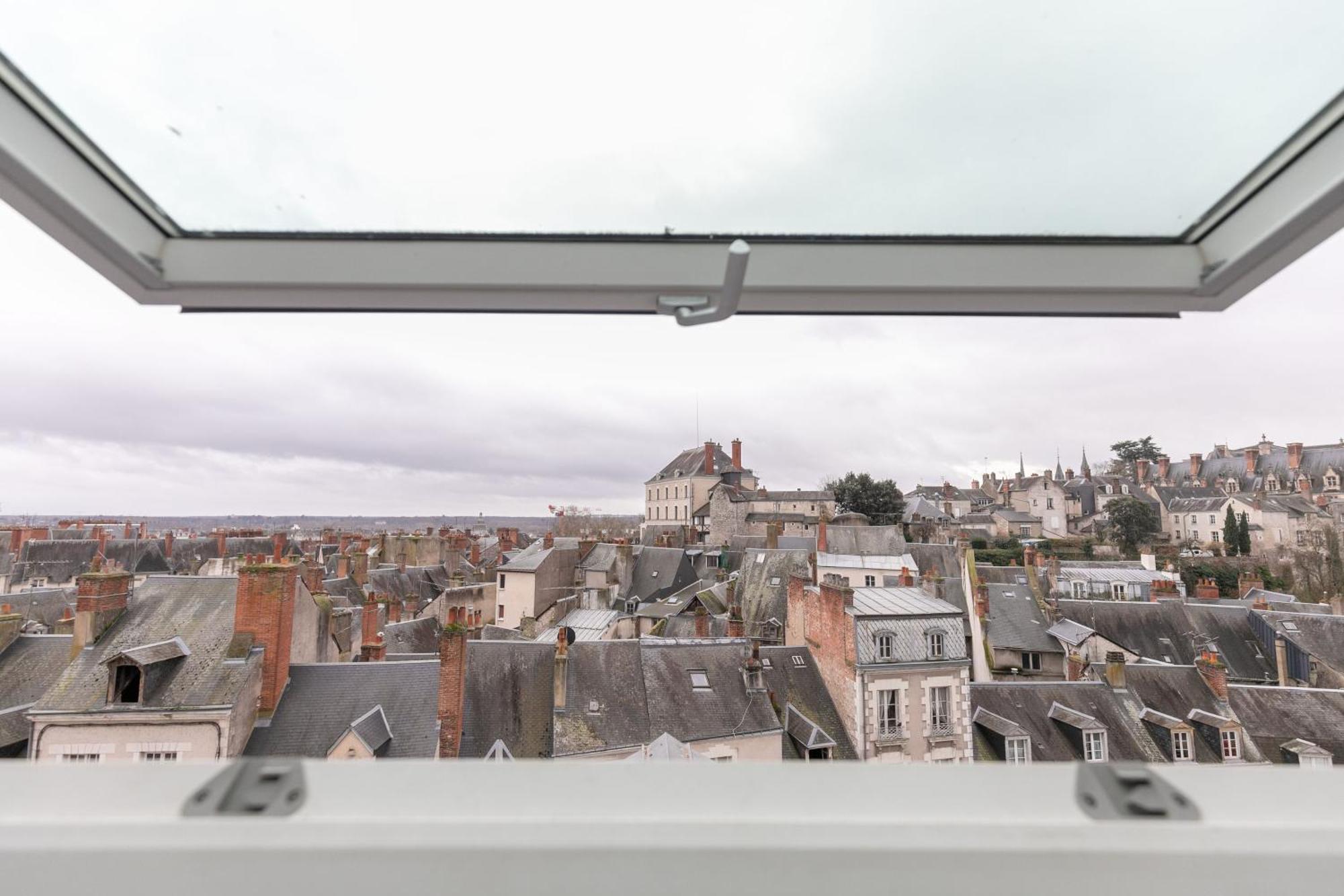 Le Nid De Saint Honore - Sur Les Toits De Blois Kültér fotó